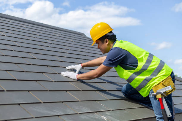Roof Gutter Cleaning in Mckinley, PA