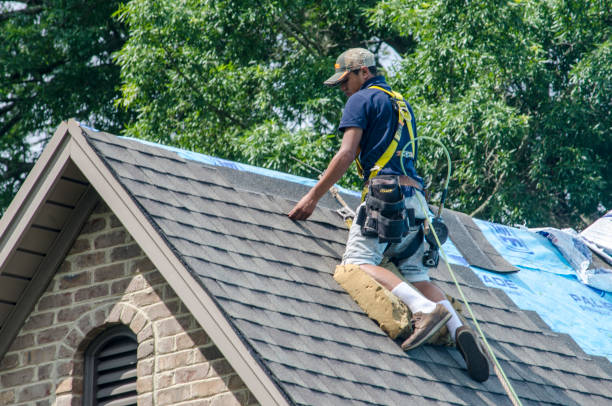 Best Roof Gutter Cleaning  in Mckinley, PA
